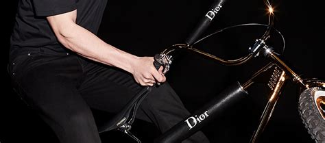 bogarde bikes dior